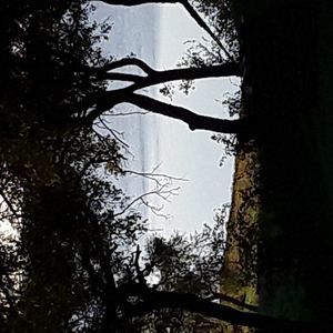 Meet your Posher, Rene